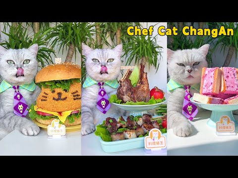 Join Me For The Warmest Food Videos Of Winter 2023!Cat Cooking FoodCute And Funny Cat