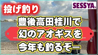 【投げ釣り】豊後高田桂川河口で　幻のアオギスを　今年も釣るぞー