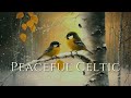 Peaceful Winter Celtic Music – Relaxing Melodies with Nature’s Beauty