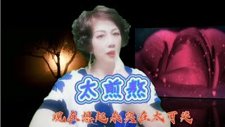 手势舞《太煎敖》原声李英  珍惜对你好的人  下辈子不一定遇见【才思敏捷安安姐】