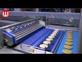 Biscuit Factory Process  How Biscuits Are Made In Factory