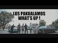 LOS PAKUALAMOS - What's Up ! ( Official Music Video )