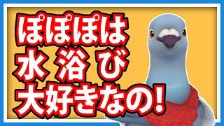 【羽鳥ぽぽぽ】ぽぽぽはお風呂に入りたいんだよ【第112羽】