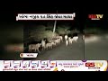 amreli ખાંભા નજીક 17 સિંહ જોવા મળ્યા gstv gujarati news