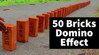 50 BRICKS DOUBLE DOMINO EFFECT | VISUAL TREAT | DOUBLE CHAIN REACTION 50 BRICKS DOMINO