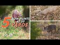 5 Bowhunting Whitetail Deer Hunts at 20 Yards | Monster Buck Moments Presented by Sportsman's Guide