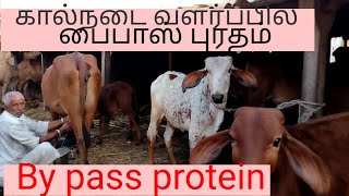 By pass protein_ சினைமாடு மற்றும் கன்று ஈனும் பசுவிற்க்கு ,@deejayfarming8335 .