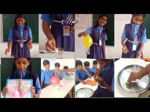 Science Experiments Youtube