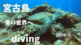 宮古島 ダイビング day3「がけ下」＆「ダブルアーチ」＆「オーバーハング」miyako island diving