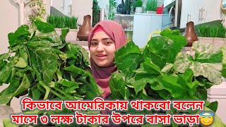 কিভাবে আমেরিকায় থাকবো বলেন মাসে ৩ লক্ষ টাকার উপরে বাসা ভাড়া😇