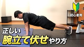 【初心者向け】正しい腕立て伏せのやり方【リアルスタイル フィットネスクラブ】