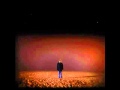 The Flashbulb - Telescopic Memorial - 2010 - Arboreal [15/17] HQ