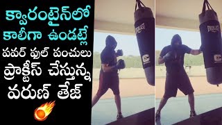 Varun Tej Boxing Practice Video | Varun Tej Workout Video | Daily Culture