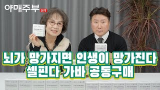 🧠 뇌가 망가지면 인생이 망가진다 (with 셀핀다 가바 사장님)