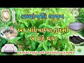 એક પાને વાવ્યા તુલસી બે પાને થયા 🌿👌🙏 દાદાને શ્રદ્ધાંજલિ આપતું ભજન gujarati bhajan viralvideo