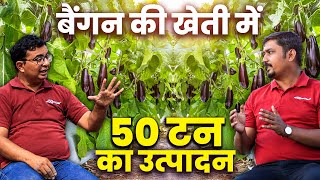 कैसे बढ़ाएं Baigan ki kheti में उत्पादन | brinjal ki kheti | बैंगन के किट और रोग नियंत्रण