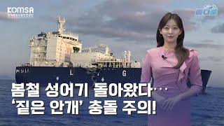 [해양교통방송 '바다로']  봄철 성어기 돌아왔다 ... '짙은 안개' 충돌 주의!