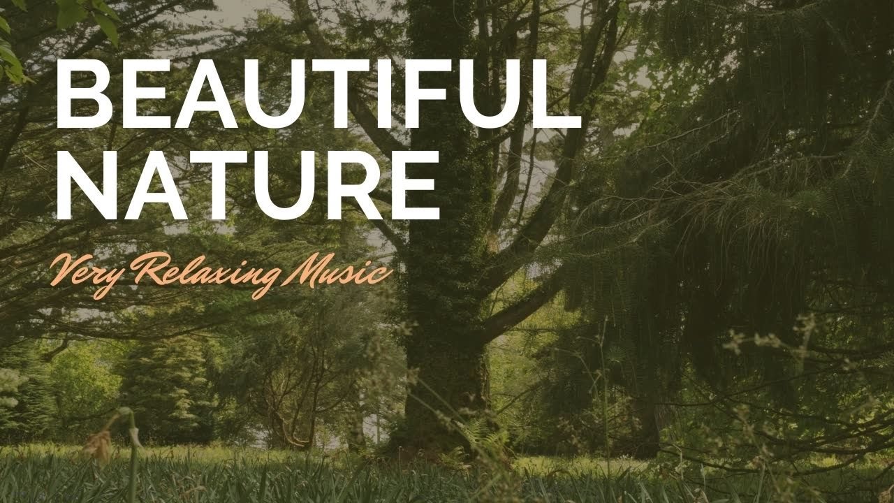 A Very Relaxing Music With Beautiful Nature For Removing Stress тше 187