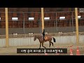 승마vlog_ 2 베르아델 승마클럽 다녀왔어요