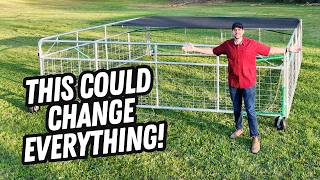 Can This Sheep Tractor Fix Our Neglected Pasture? (inspired by Justin Rhodes)