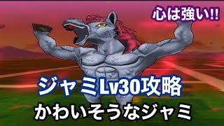 [ドラクエウォーク]ジャミLv30攻略