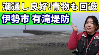 地元民に愛されるマイナー堤防？　有滝堤防【伊勢湾　釣り場紹介】