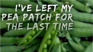 I’ve Left My Pea Patch for the Last Time- Pastor Tyler Jernigan