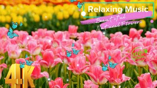 Flowers 4k Nature Relaxation film Meditation Relaxing Music | Beautifulb Natural Scenery