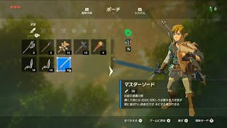 Breath of the Wild (  The Legend Of Zelda ) Master Sword Got it!