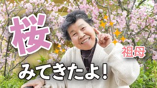 お花をたくさん見てきたよ〜🌸🌷🌼🪻