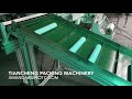 automatic source cup counting and packing machine