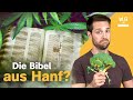 Die Geschichte des Cannabis: Von Verbot bis Legalisierung