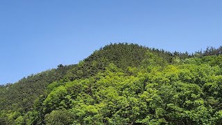 [일상]대구 여기 어딜까요? 물 흐르는 소리가 아쉽네요~ 잘 들어보세요~ 새소리 🍀 마음과 눈을 정화 시켜 주고 스트레스를 날려주는 장소 🍀 대구 공장 창고 전문 #대구공장박사