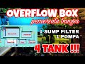 4 Tank dengan 1 pompa & 1 sump filter