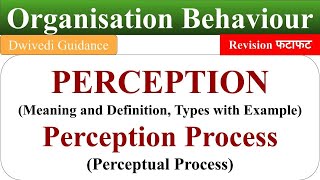 Meaning of Perception, perception process, perceptual process, ob, organisational behaviour,