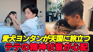 BTSテヒョン、愛犬ヨンタンとの別れ…ARMYに届けた涙のメッセージ