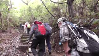 郵友歩こう会小岱山登山