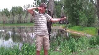 2009 Bow Review: Bowtech Admiral