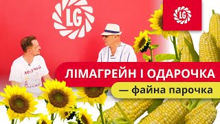 Лімагрейн і Одарочка  — файна парочка