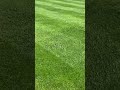 was wurde hier auf dem rasen gemacht 🤔 foryou gras rasen sanden aerifizieren lawn garten