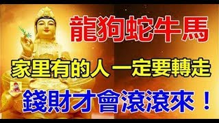 家裡有「龍狗蛇牛馬」的人，一定要轉走，財富才會滾滾來 - 十二生肖