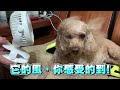 【嘟嘟屋】超低噪音！省電夾式風扇 夾式 迷你風扇 夾扇 usb充電 夾式 隨身風扇 手持扇 usb電扇 無線風扇 娃娃車 推車扇