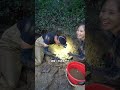 【戶外捕魚vlog】花8000包下一口3畝大的老甲魚塘，看看裏面還能上多少貨？ 三農 戶外 鄉村守護人