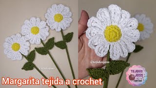 Crocheted Daisy ENG/SPA Subs