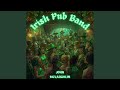 Irish Pub Band