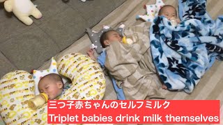 【三つ子】第8話 三つ子赤ちゃんのセルフミルク/ Episode.8 Triplet babies drink milk themselves