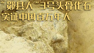 考古新发现！六大考古遗址入选 其中“郧县人”3号头骨化石实证中国百万年人类史《2022年中国考古新发现》20230227 | 中华国宝