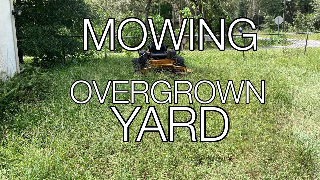 Mowing Overgrown Lawn Youtube