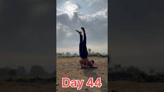 day 44/75 hard / 75 hard day results / weight  gain meals / abs workout at home / gym basic workout