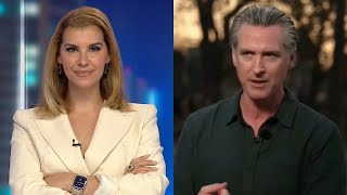 Lefties losing it: ‘Slimy used car salesman’ Gavin Newsom is ‘hopeless’